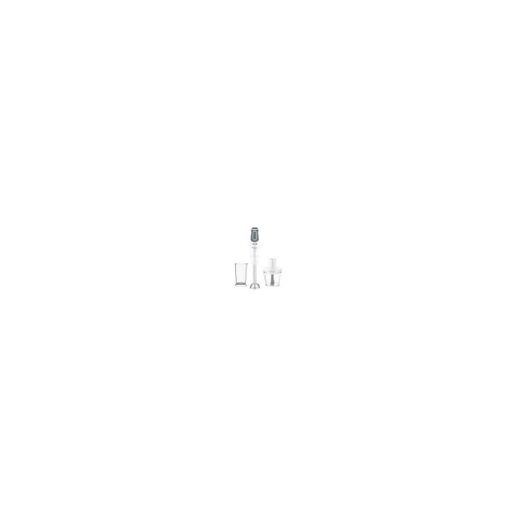 Mixeur plongeant optichef 1000W DD6551EG