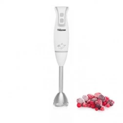 Mixeur plongeant MX4825