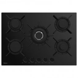 Plaque Focus 5 feux vitro F4017BS